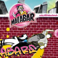 Malabar ... la nouvelle mascotte est un chat