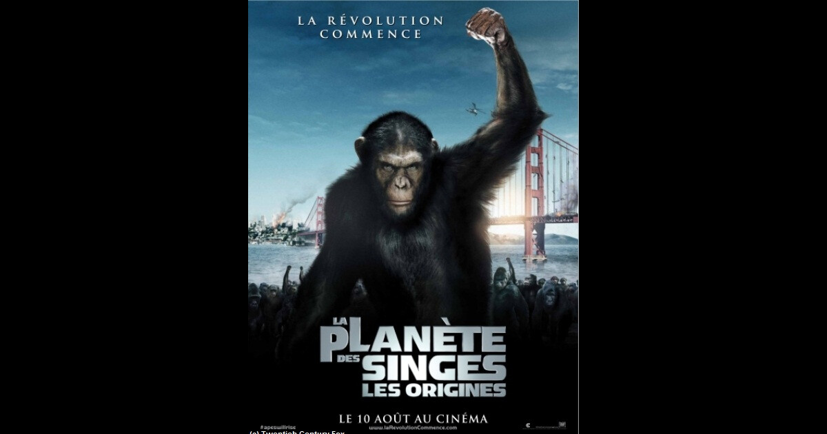 La planète des singes : les origines la bande annonce et l’affiche