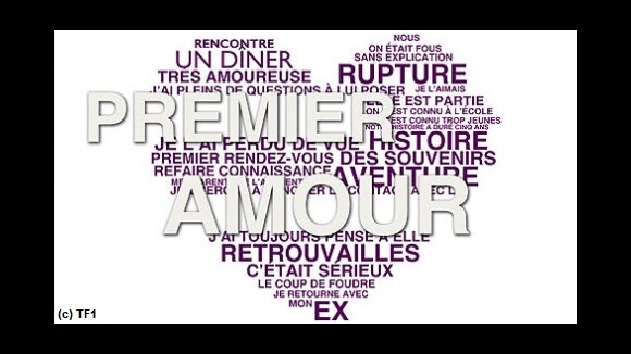 Premier Amour : de retour le 30 juillet 2011 sur TF1