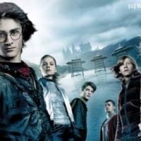 Harry Potter : coup de baguette magique sur les audiences de TF1