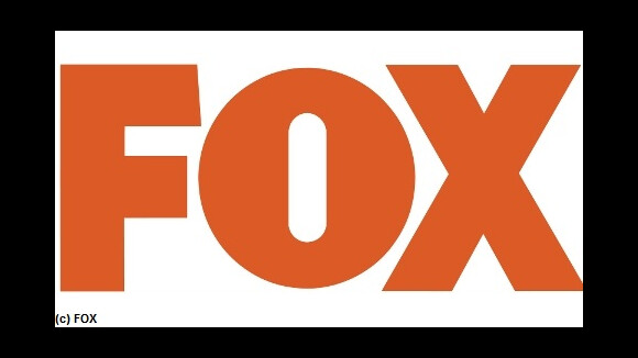 The Punisher : la FOX comme Zone de Guerre pour la série