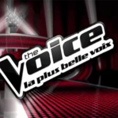 The Voice sur TF1 : inscrivez-vous dès aujourd'hui (VIDEO)