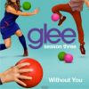 Audio de Without You version Glee