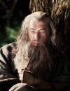 Gandalf dans de nouvelles scènes inédites