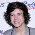 Harry Styles n'est pas toujours épargné par les haters