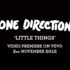 Le clip Little Things sortira le 2 novembre !