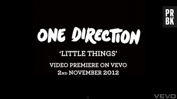 Le clip Little Things sortira le 2 novembre !