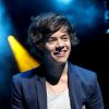 Harry Styles, plus zen que Louis face aux rumeurs