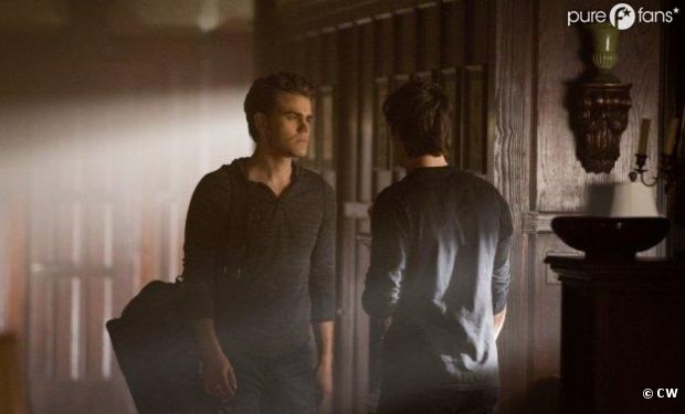 Stefan ne va pas se mettre en travers du chemin de Damon
