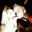 Miley Cyrus est folle des ses chiens !