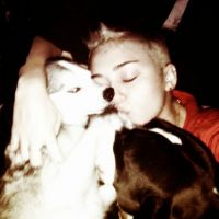 Miley Cyrus : dégueu d&#039;embrasser ses chiens ? Coup de gueule sur Twitter ! (PHOTOS)
