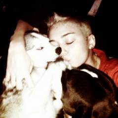 Miley Cyrus : dégueu d'embrasser ses chiens ? Coup de gueule sur Twitter ! (PHOTOS)