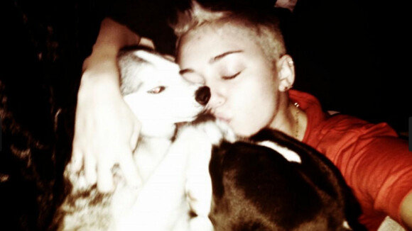 Miley Cyrus : dégueu d'embrasser ses chiens ? Coup de gueule sur Twitter ! (PHOTOS)
