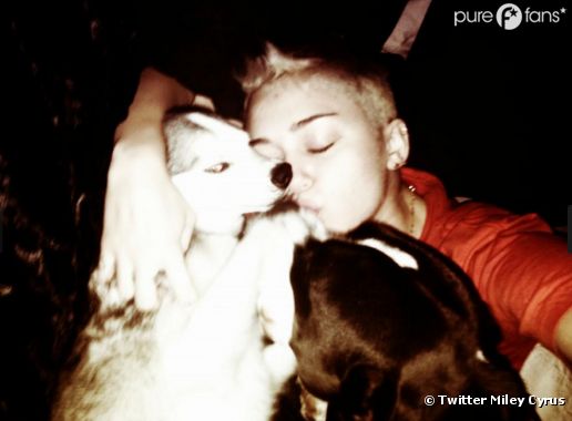Miley Cyrus est folle des ses chiens !