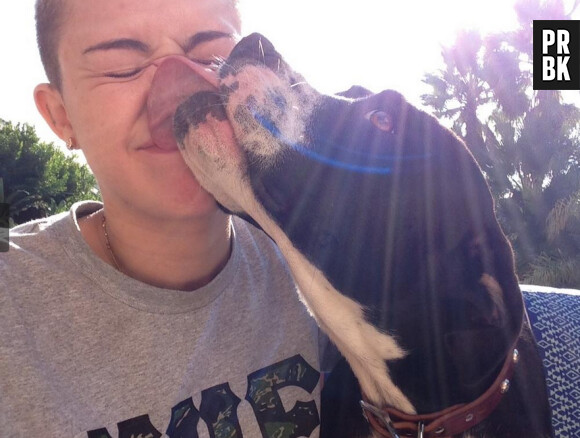 Miley Cyrus adore se faire embrasser par ses chiens !