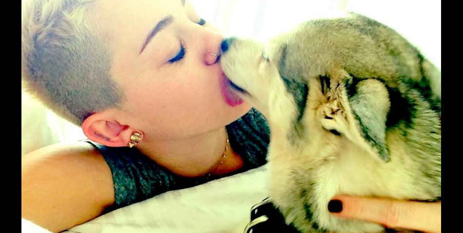 Miley Cyrus ne supporte pas que ses fans trouvent ça dégoûtant !