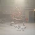 Qui de Nikos ou d'Alain a gagné l'épreuve des poteaux sous la neige dans Nos chers voisins fêtent Noël ?