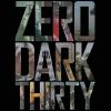 Zero Dark Thirty est déjà en salles !