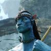 Le tournage d'Avatar 2 sera-t-il perturbé par ces récents démêlés avec la justice ?