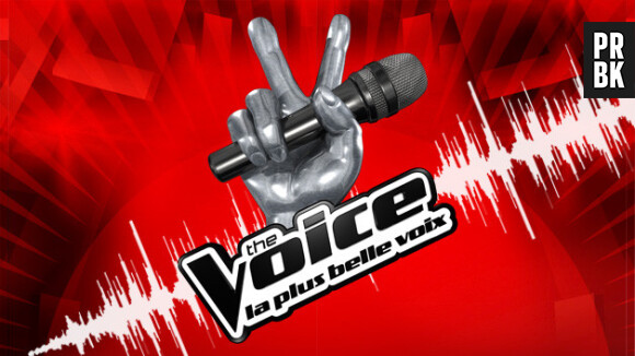 Découvrez les coulisses de The Voice 2, l'émission diffusée sur TF1 !