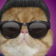 Psy : star malgré lui de la nouvelle publicité de Virgin Mobile