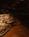 Première bande-annonce de Riddick en VOSTFR