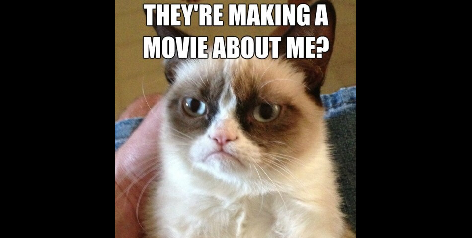 Grumpy Cat n&#039;est pas pressé de voir son film