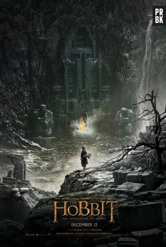 The Hobbit la désolation de Smaug : une première affiche vient d'être dévoilée