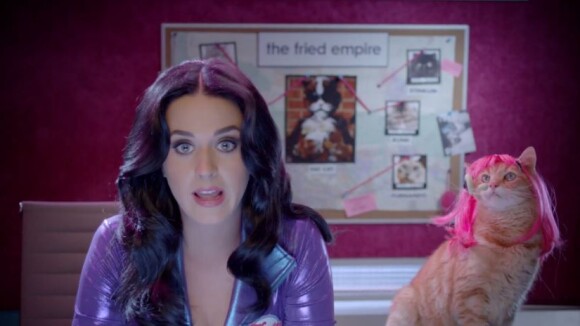 Katy Perry reine des LOLcats : star d'une pub délirante avec des chats