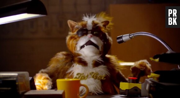 La dernière publicité de Popchips met en scène des chats à perruque et Katy Perry