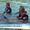 Les Anges 5 : Fred, Vanessa, Benjamin et Marc profitent des dauphins aux Bahamas.