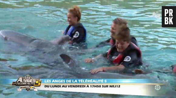 Les Anges 5 : Fred, Vanessa, Benjamin et Marc profitent des dauphins aux Bahamas.