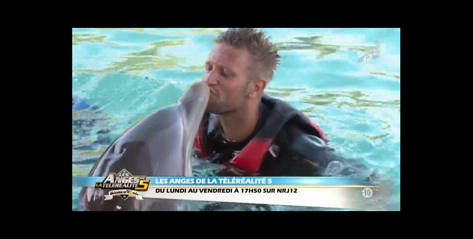 Les Anges 5 : Benjamin aux Bahamas profite des dauphins.