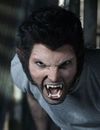Teen Wolf saison 3 : les révélations du Comic Con 2013