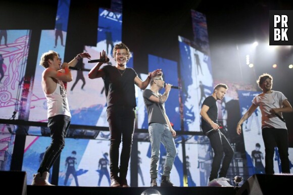One Direction pendant leur "Take Me Home Tour" en 2013