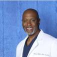 Grey's Anatomy saison 10 : quel avenir pour le Docteur Webber ?