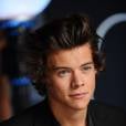 Harry Styles sur le tapis-rouge des MTV VMA 2013, le 25 août 2013