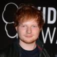 Ed Sheeran sur le tapis-rouge des MTV VMA 2013, le 25 août 2013