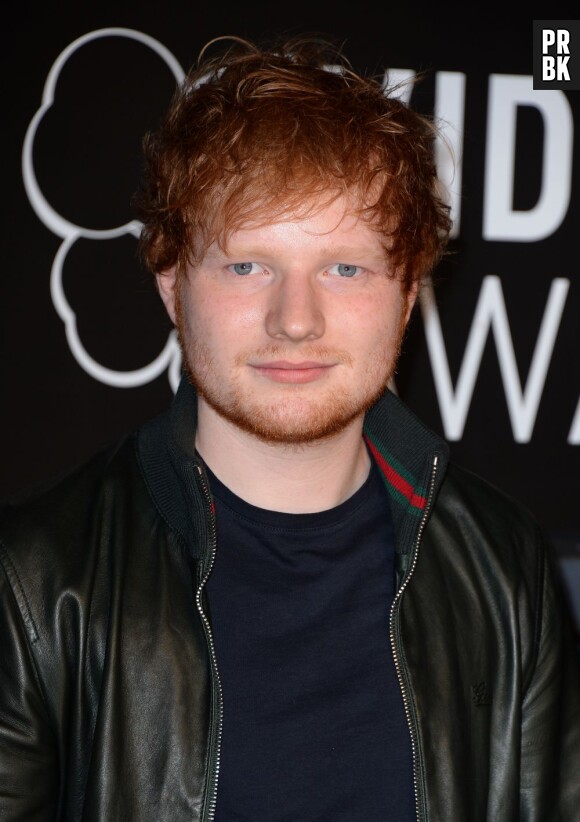 Ed Sheeran sur le tapis-rouge des MTV VMA 2013, le 25 août 2013