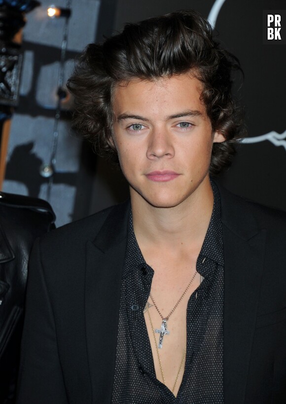 Harry Styles sur le tapis-rouge des MTV VMA 2013, le 25 août 2013 à New York
