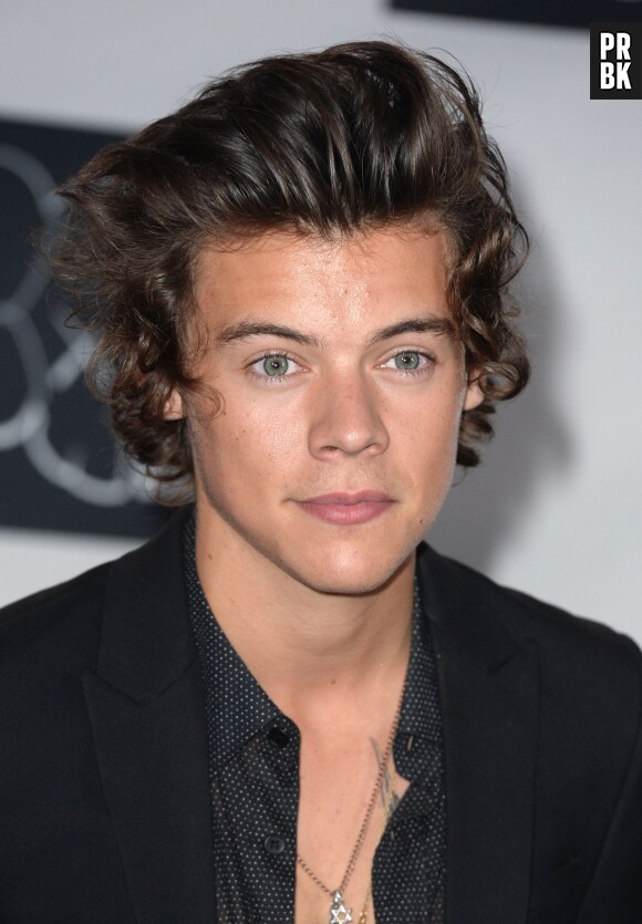 Harry Styles au top aux MTV VMA 2013, le 25 août 2013 à New York