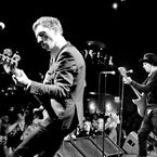 Les Babyshambles en concert cet hiver