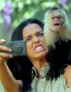 Katy Perry, accusée par la PETA de maltraitance sur des animaux pour le clip Roar