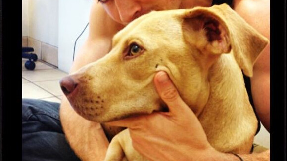 Ian Somerhalder horrifié par le chien tué par une Directioners