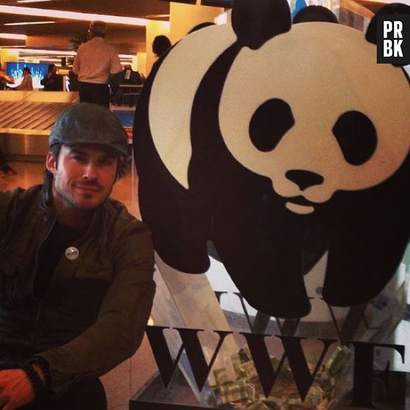 Ian Somerhalder, grand défenseur des animaux