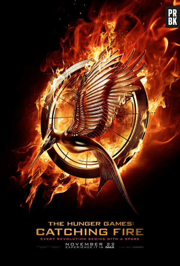 Hunger Games 2 : poster teaser