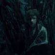 Le Hobbit 2 - la Désolation de Smaug : les araignées de retour