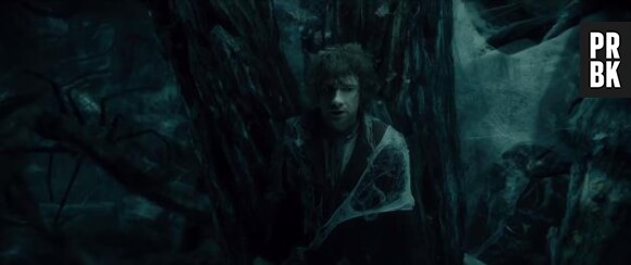 Le Hobbit 2 - la Désolation de Smaug : les araignées de retour