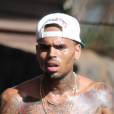 Chris Brown retourne en centre de désintoxication, contraint par la justice américaine