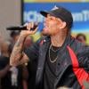Chris Brown retourne en centre de désintoxication, contraint par la justice américaine